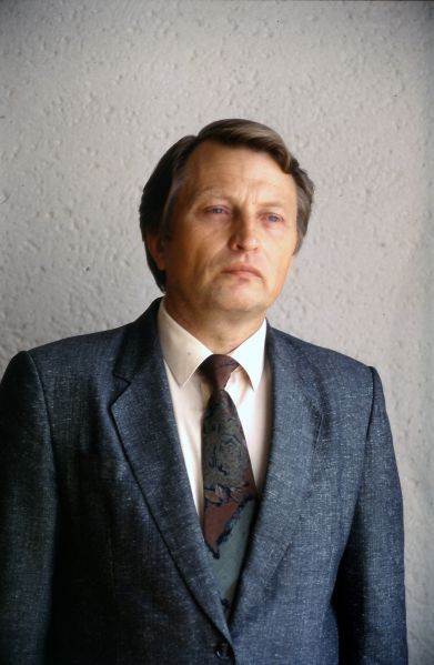 Vaizdas:Rainys.jpg